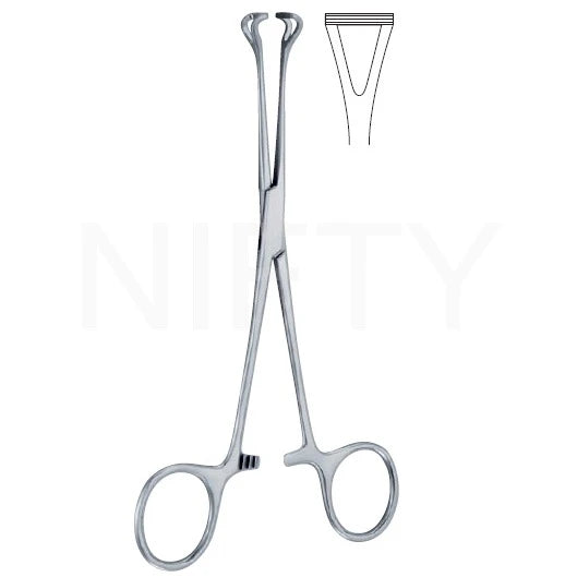 Babcock Tissue Forcep – Nifty Medical Supplies